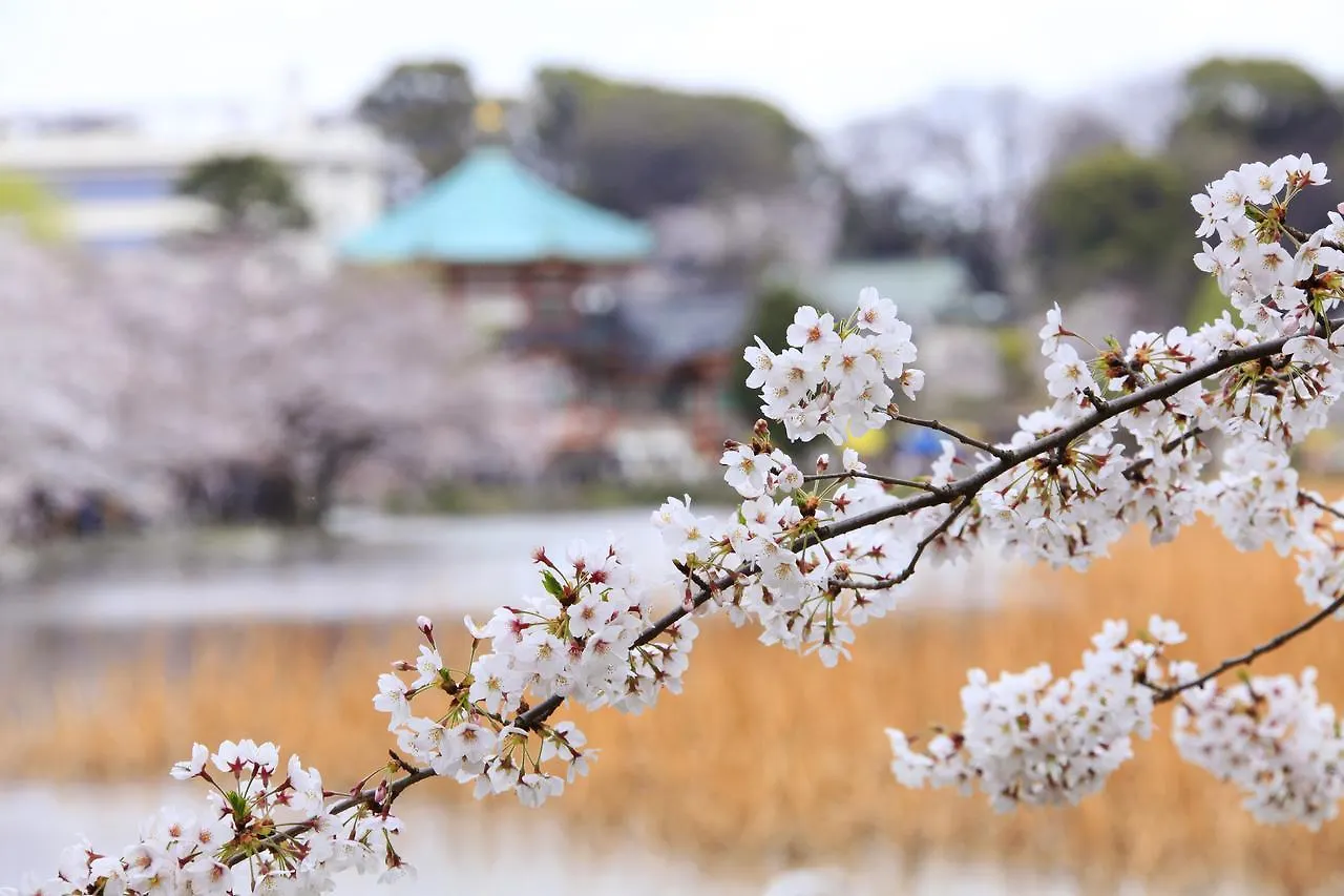 センチュリオンレディースホステル 上野公園  東京都