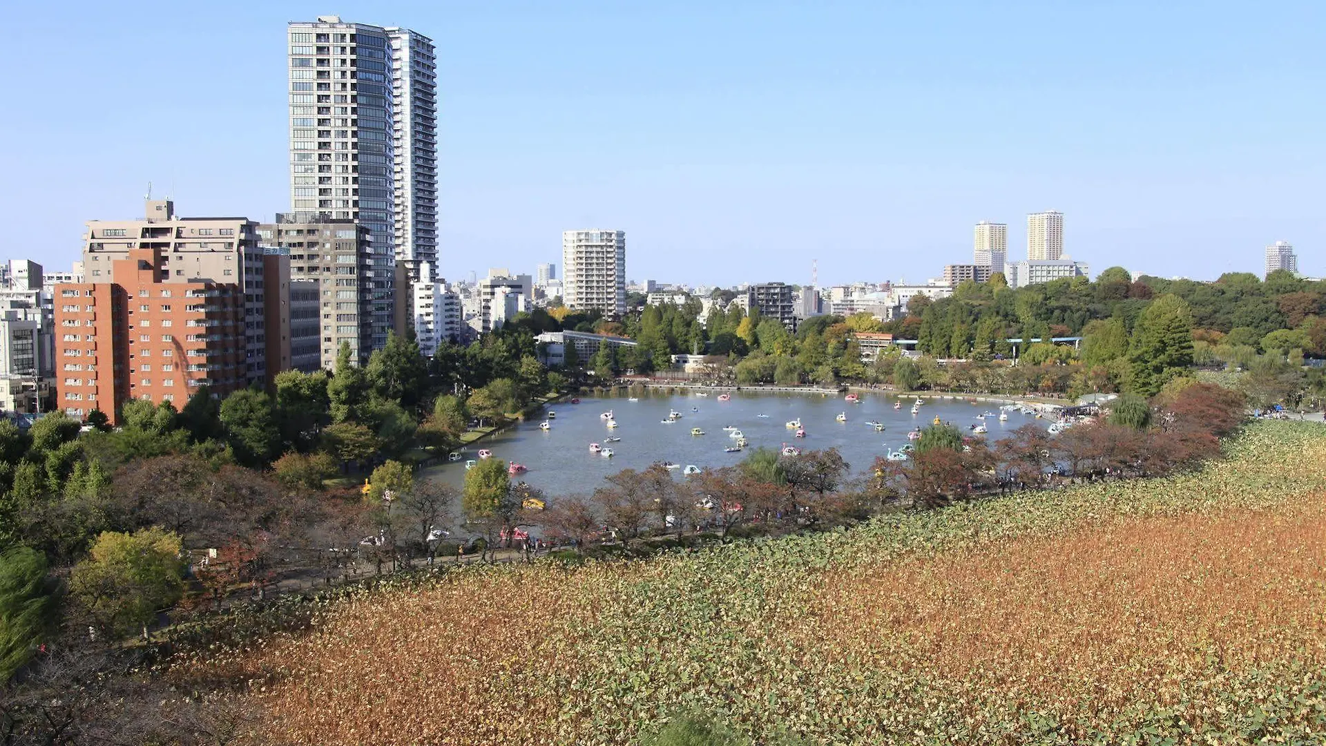 センチュリオンレディースホステル 上野公園  東京都 カプセルホテル