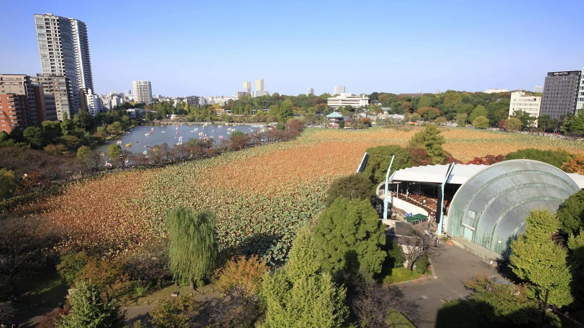 センチュリオンレディースホステル 上野公園  東京都 日本