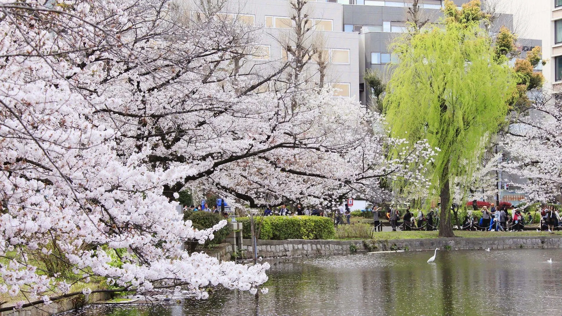センチュリオンレディースホステル 上野公園  東京都 カプセルホテル